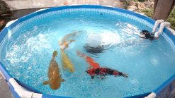 Advantage Koi Storage System